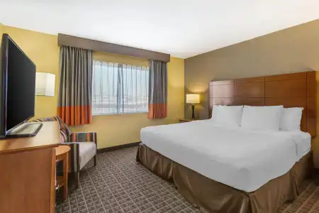 Best Western Plus Scottsdale Thunderbird Suites - 73