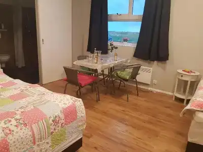 Skálatjörn Guesthouse - 21
