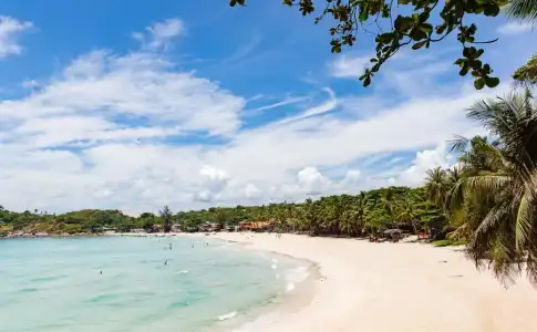 Venus Resort - 11