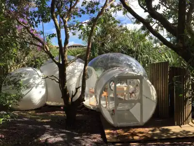 Bubble Lodge Bois Chéri Plantation - 17