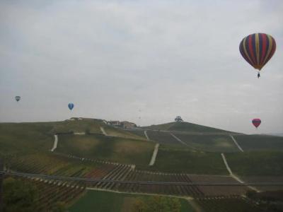 Red Wine Camere - 49