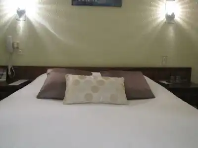 Hôtel de La Loge - 4