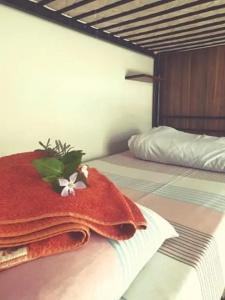 Boho Hostel - 17