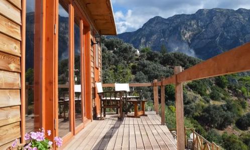 Kabak Avalon - 16