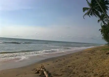 Ocean Ripples Resort - 8