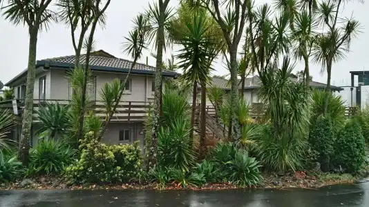 Siesta Motel - 14