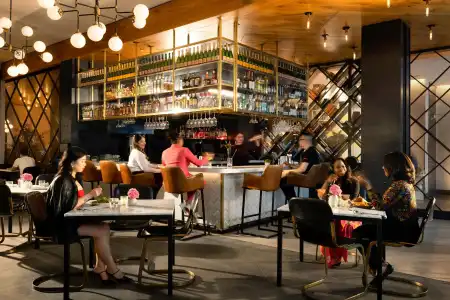 Arlo Chicago - 27