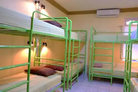 Bunk Bed and Breakfast - 27