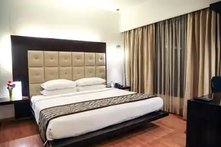 Krishna Palace - 75