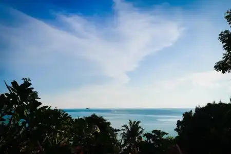 Zama Resort - 83