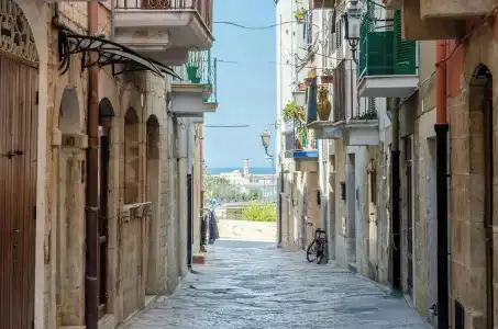 Domatia - 31
