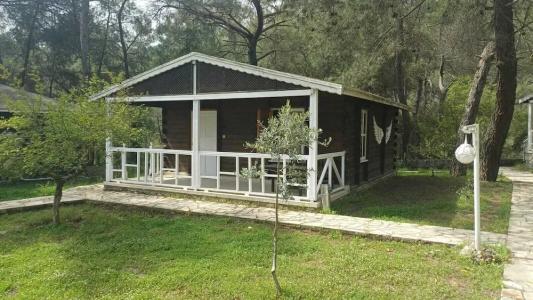 Olympos Angels Garden - 61
