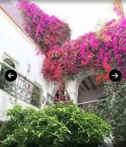 Riad Timila - 63