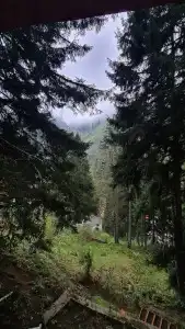 Ayder Doga Resort - 234