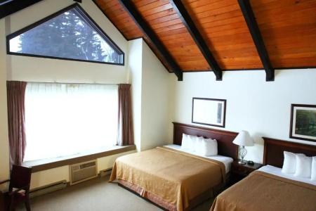 Alex and Suites - 34