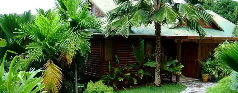 Le Jardin des Palmes - 9