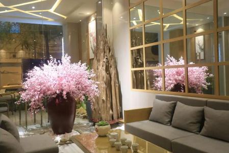 Thuy Sakura & Serviced Apartment - 11