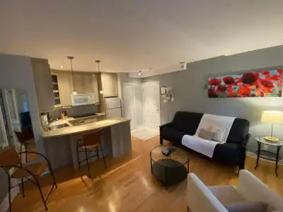 Quality Inn Centre-Ville - 133