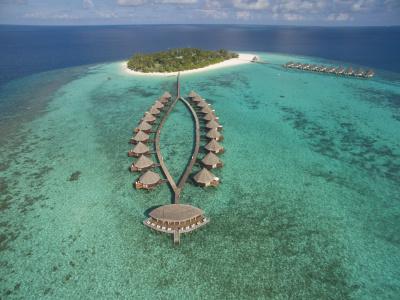 Angaga Island Resort and Spa - 17