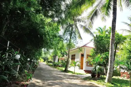 Tang Thanh Phat Resort - 25
