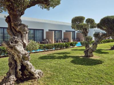 Cavo Orient Beach & Suites - 24