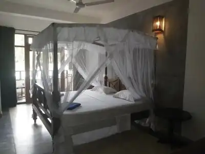 Aaradhya Mirissa - 21