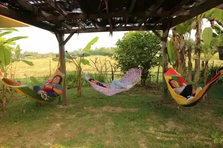 Country Retreat - 13