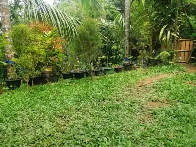 Ella Flower Garden Resort - 18