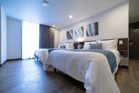 Círculo Condesa - 50