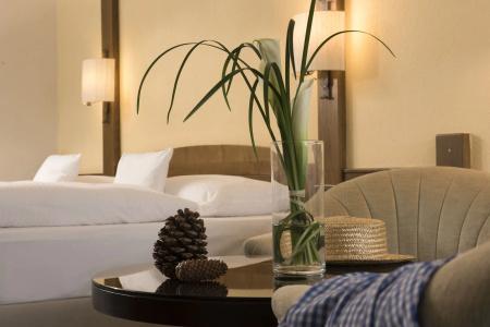 Maritim TitiseeTitisee-Neustadt - 4