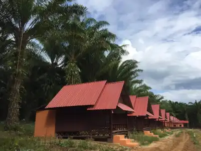 Khao Sok Evergreen House - 35
