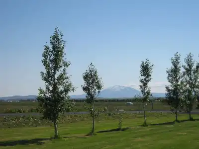 South Central Guesthouse - 17