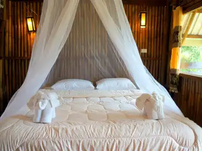 Khao Sok Jungle Resort - 1