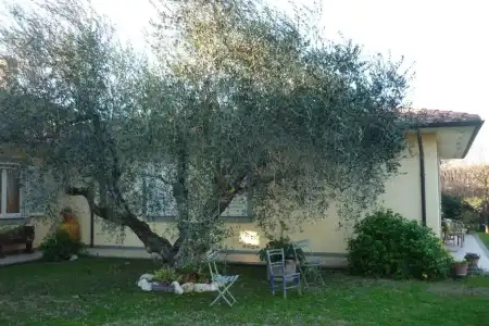 B&B Alle Terme - 9
