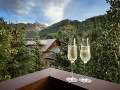 The Telluride - 63