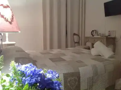 City Garden Guest House - 43