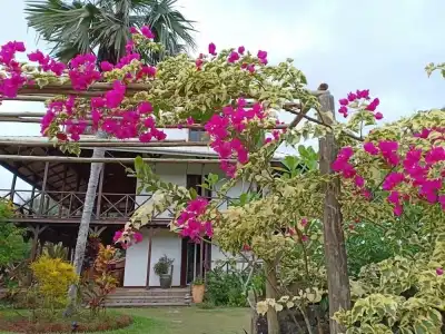 Domaine Desaubin Luxury Villas - 23