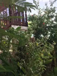 Tropicana Resort - 4