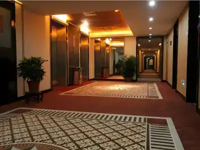 Shenzhen Luohu Lotus - 34