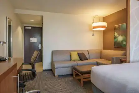 Hyatt Place Houston/Galleria - 26