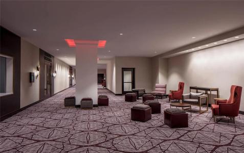 Embassy Suites by Hilton Minneapolis Downtown - 9