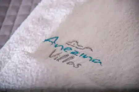 Anezina - 110