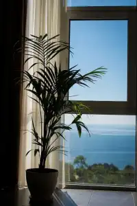 12th Floor Apartments - 41