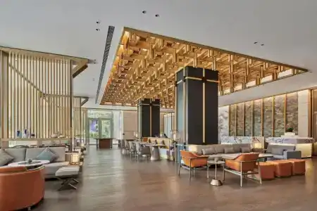 Doubletree By Hilton Shenzhen Airport Residences - 12