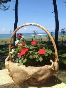 Mana-Mana - 10