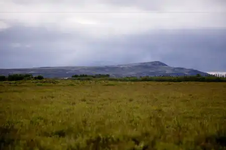 South Central Guesthouse - 20