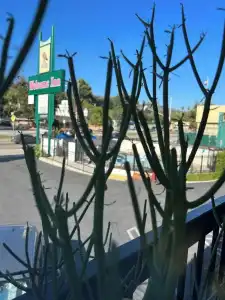 Welcome Inn on Colorado Blvd - 11