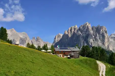 Alpen Corona - 15