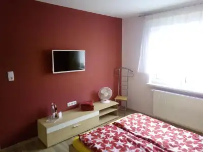 Pension zum Ringelberg - 23