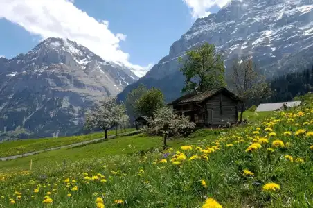 Aspen alpin lifestyle Grindelwald - 84